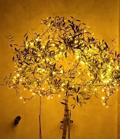 Bed and breakfast Stanze Di Campagna