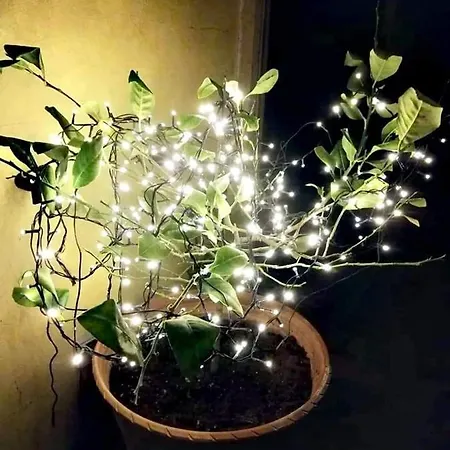 Stanze Di Campagna לינה וארוחת בוקר