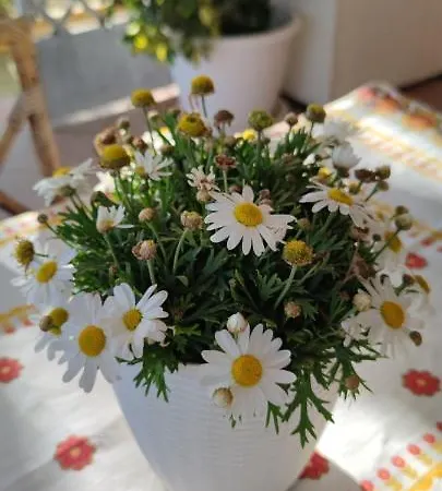 Stanze Di Campagna Oda ve Kahvaltı