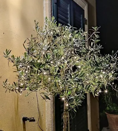 Stanze Di Campagna Nocleg ze śniadaniem Taviano (Lecce)