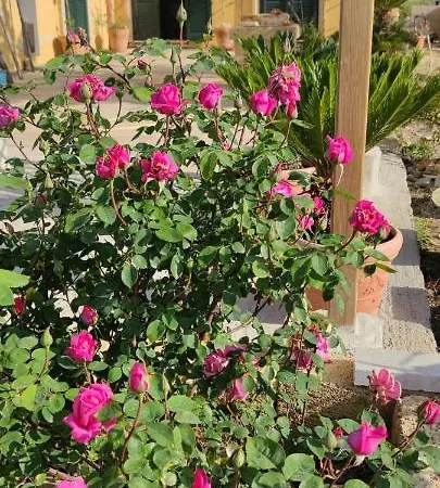 Oda ve Kahvaltı Stanze Di Campagna Taviano (Lecce)