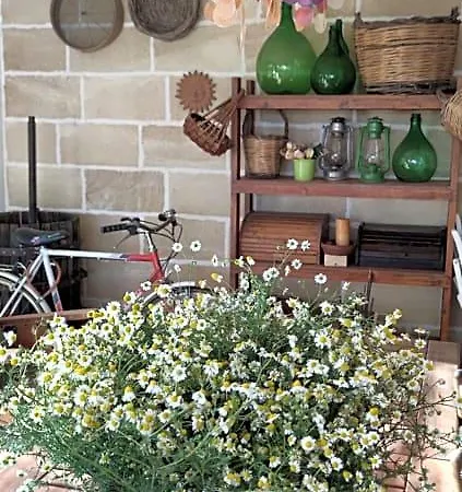 Stanze Di Campagna Bed & Breakfast