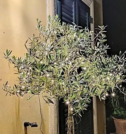 Panzió Stanze Di Campagna 3*