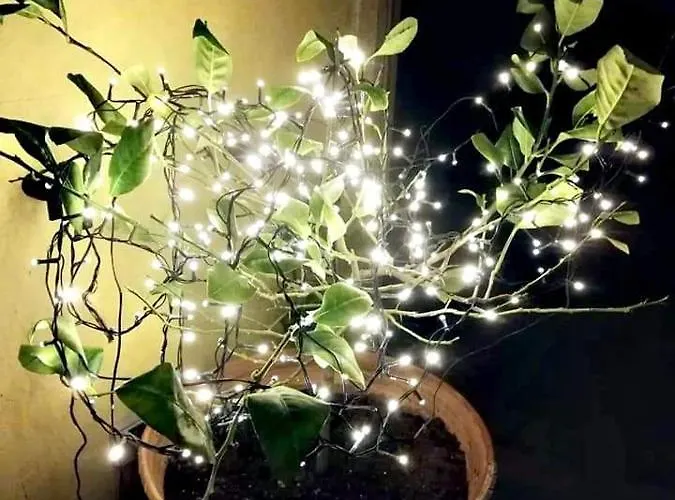 Stanze Di Campagna לינה וארוחת בוקר