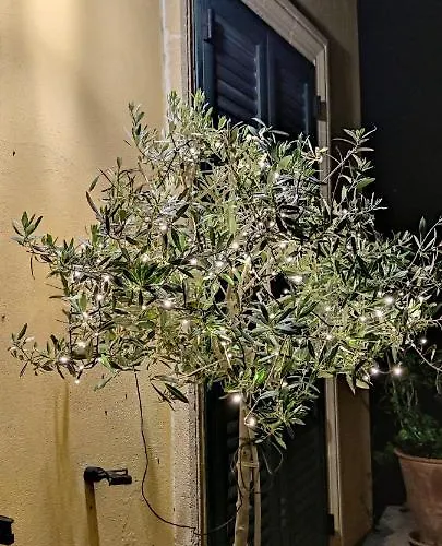 Stanze Di Campagna Couette-café Taviano (Lecce)